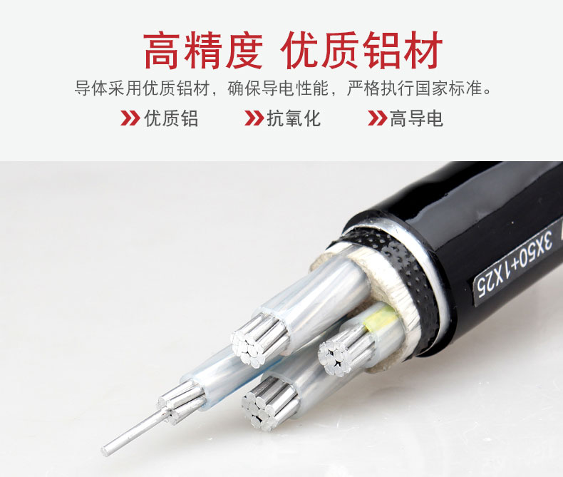 交聯電力電纜-YJLV22_05.jpg